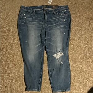 Torrid 22S Women's Blue Distressed Jeans NWT